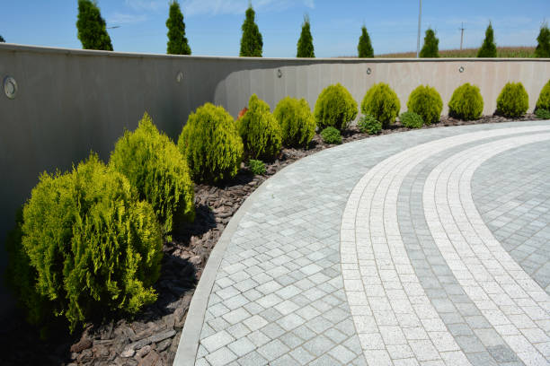 Best Driveway Repair Near Me  in Flippin, AR